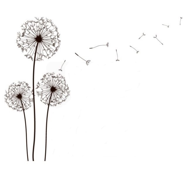 Profilbild von Hans-Jürgen Grochau