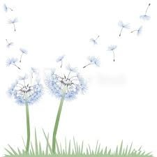 Profilbild von J&uuml;rgen  Gonschior