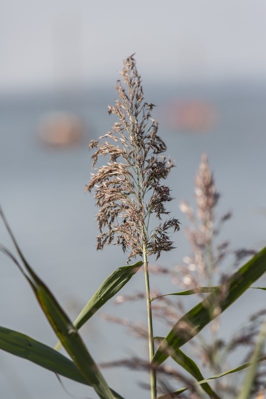 Profilbild von Marina Ebbers